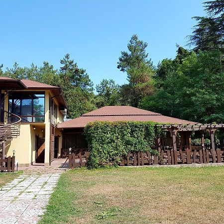 بيزوندا Guest House Black Sea المظهر الخارجي الصورة